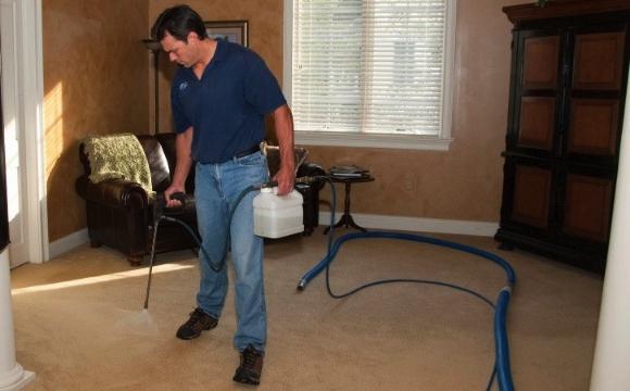 Kako očistiti tepih u vlastitom domu?