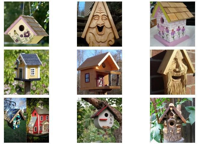 neobična birdhouse