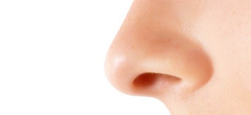 narodni znakovi nosa