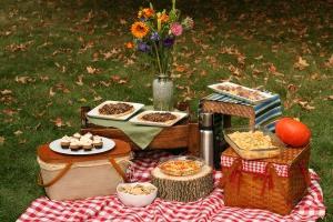 Što uzeti s vama na pikniku: potreban minimum za ugodan odmor