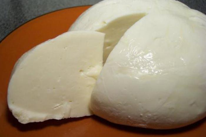 mozzarella kod kuće