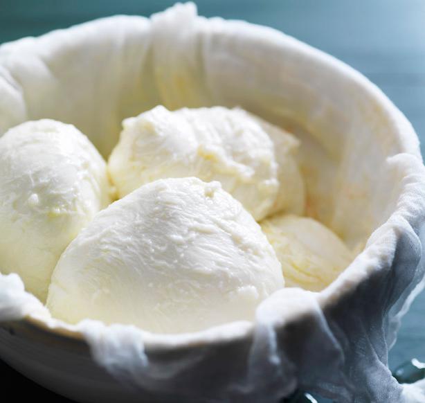 proizvodnja mozzarella kod kuće