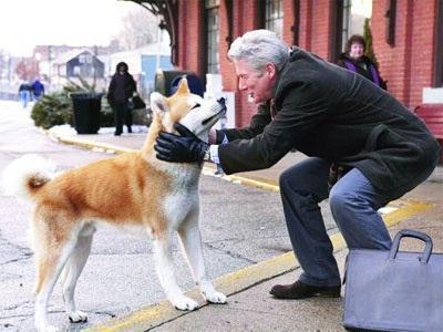 hachiko je najvjerniji prijatelj glumaca