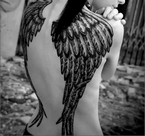 skice tetovaža krila
