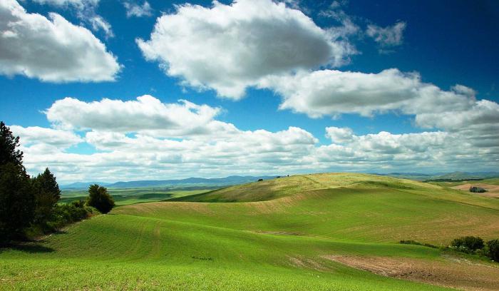 Prirodne zone Njemačke i njihove glavne značajke