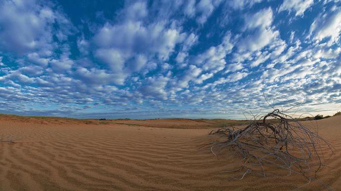 Tajanstvena pustinja Alyoshkovskie pješice u blizini Kherson (Ukrajina)