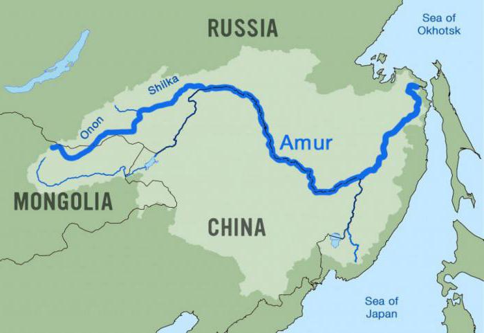 Rijeka Amur: ekonomska upotreba i opis. Rijeka Amur - fotografija