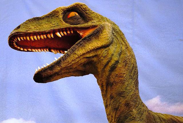 Najveći raptor je dinosaur krvožedne obitelji dromaeosaurida