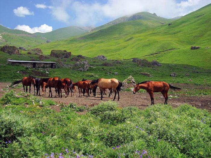 Gdje se nalazi Kabardino-Balkaria? Regije Rusije