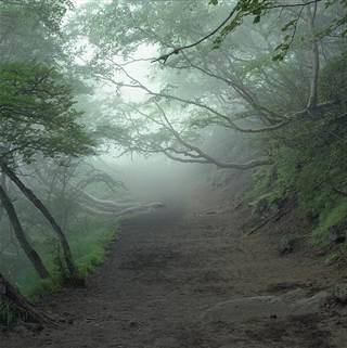 Planina Fuji u Japanu: podrijetlo, povijest i visina planine. Pogled na goru Fuji (fotografija)