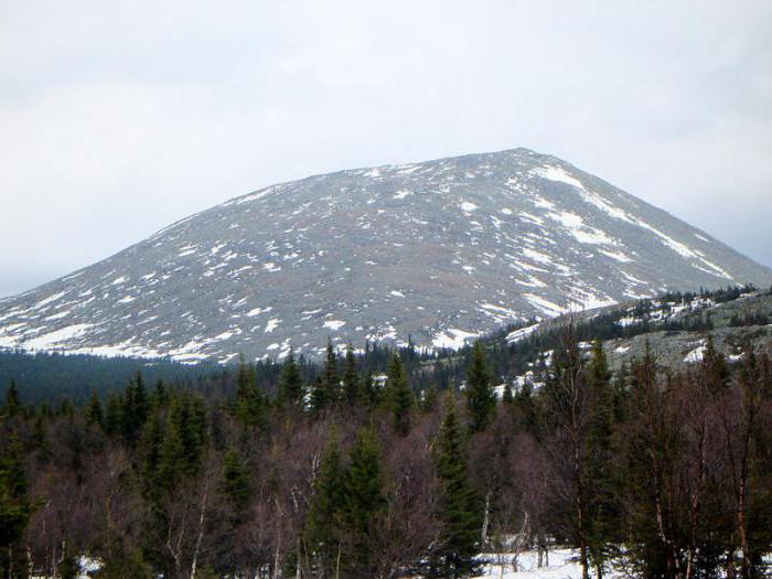 što je najviša planina komortostana