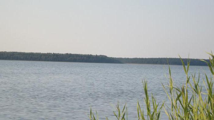 Kursanska regija: jezera za odmor i ribolov
