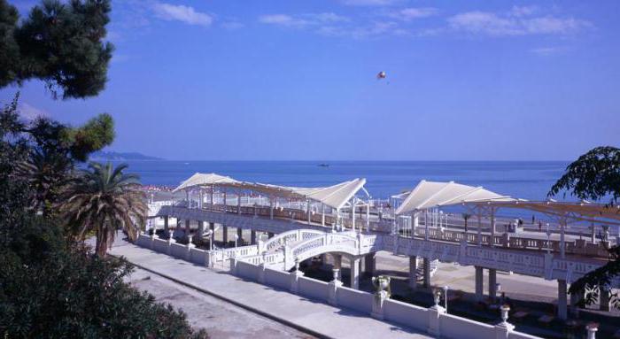 plaža hotel Starry