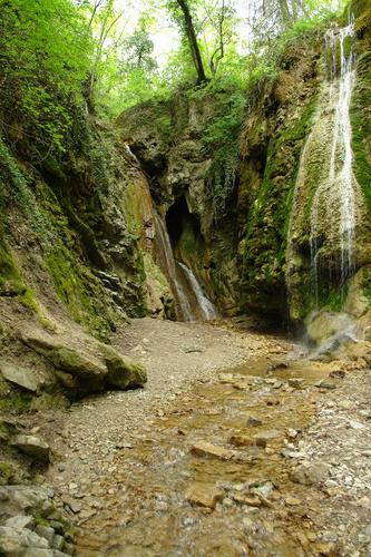 Gebius slapovi, fotografija