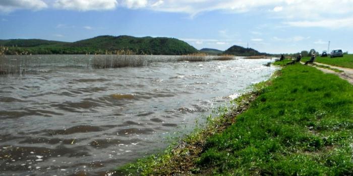 Tijekom hvatanja hrane na hranilici