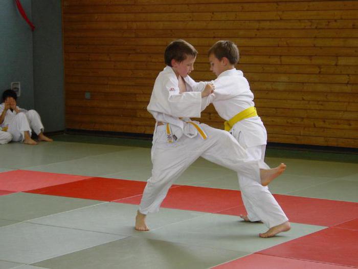  koja je razlika između borbe protiv sambo i judo