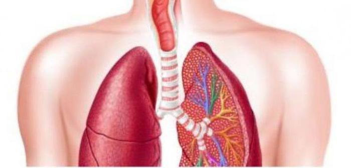 Idiopatska plućna fibroza - liječenje i preporuke