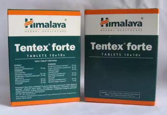 analoge tentex forte 